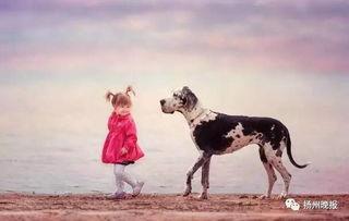 泉州爆料大狗视频,究竟何方神圣？  第1张