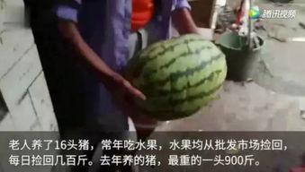 吃瓜视频完整版免费观看,免费畅享热门内容  第1张 吃瓜视频完整版免费观看,免费畅享热门内容  第1张