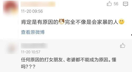 明星家暴爆料热搜视频播放,网络暴力下的家庭悲剧  第3张 明星家暴爆料热搜视频播放,网络暴力下的家庭悲剧  第3张