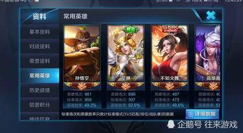 艾琳新皮肤爆料最新版下载,最新版下载，华丽变身惊艳登场！  第2张